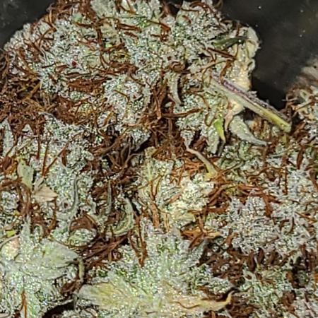 Lemon wonder automatic