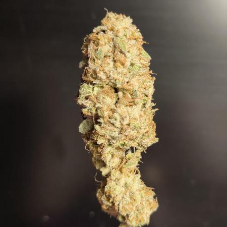 Mixed graft summer grow 7 strains
