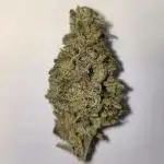 Mixed graft summer grow 7 strains