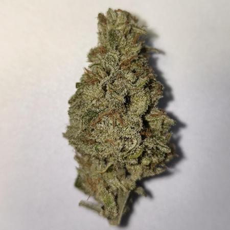 Mixed graft summer grow 7 strains