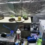 DIY RDWC