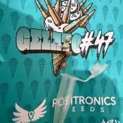 Positronics 2026