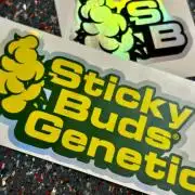 Sticky