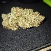 Mephisto : Bear Knuckles