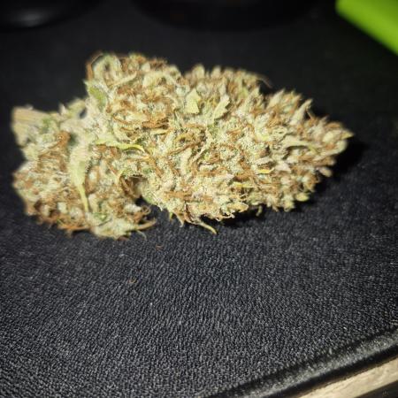 Mephisto : Bear Knuckles