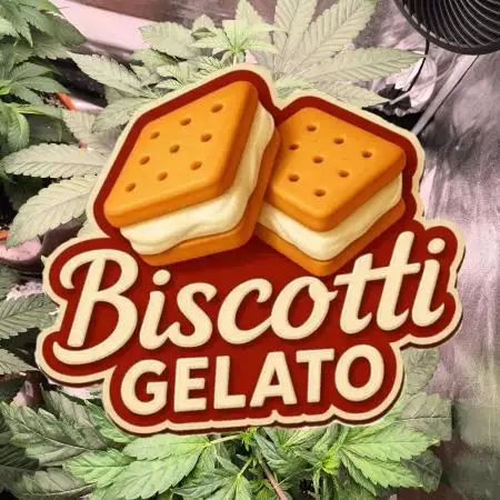 Biscotti gelato fast buds Sponsoring