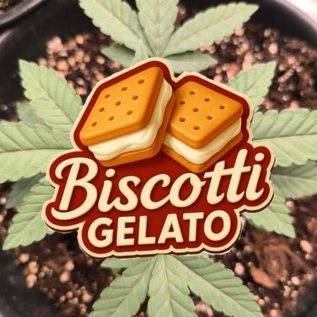 Biscotti gelato fast buds Sponsoring