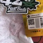Rainbow melon fast buds