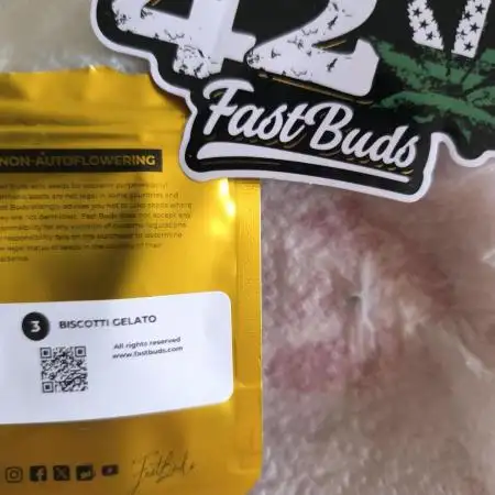 Biscotti gelato fast buds Sponsoring
