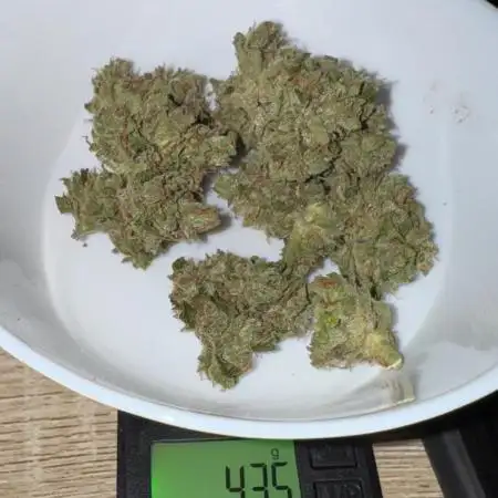 Gorilla 4 Fast (Peppino)