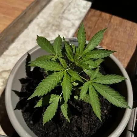 First outdoor try