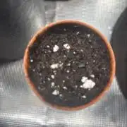 My dinner coffe☕️