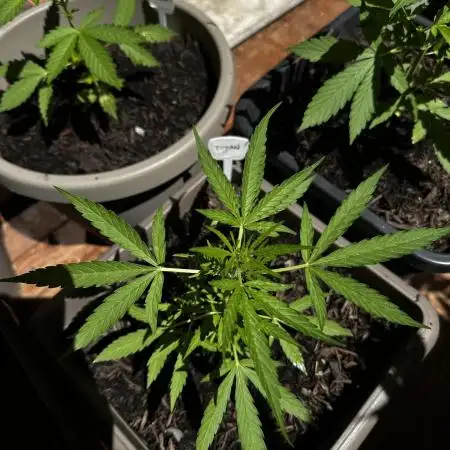 First outdoor try