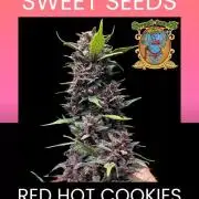 Red Hot Cookies