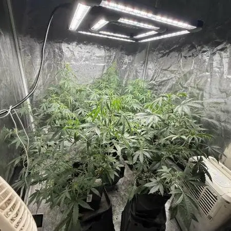 Indoor no.3