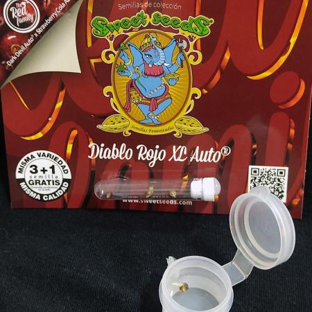 Diablo Rojo XL by Sweet Seeds - DWC