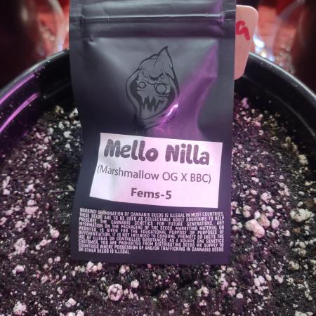 2x4 Mello nilla