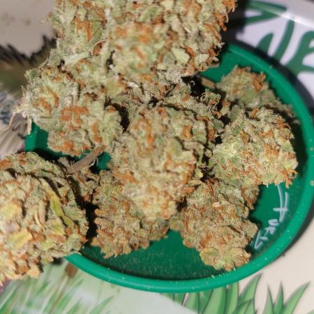 Divine Seeds Auto Divine Rapier