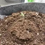 OpenGrowBox MicroGrowing