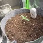 OpenGrowBox MicroGrowing