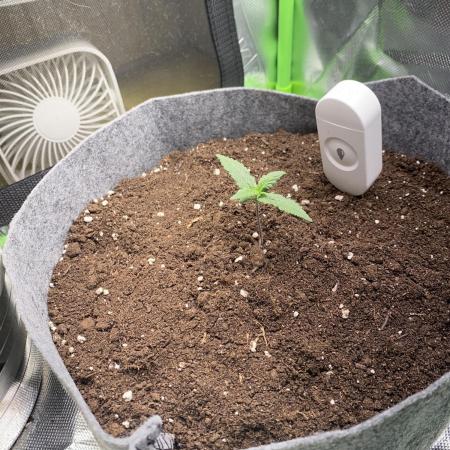 OpenGrowBox MicroGrowing