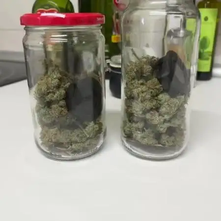 The second grow, winter is coming