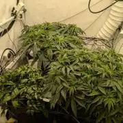 Gorilla Super Glue - SSSC