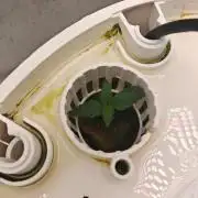 FAT MONKEY AUTO