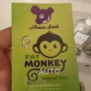FAT MONKEY AUTO