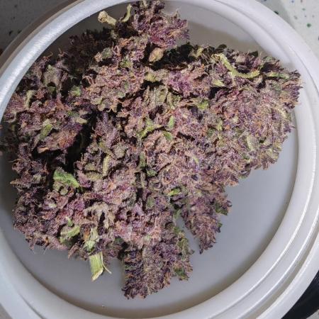 PINEAPPLE RUNTZ AUTO