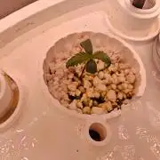 Strawberry gorilla auto