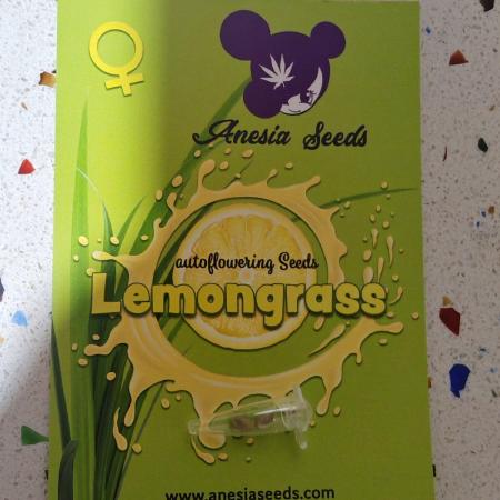 Lemongrass