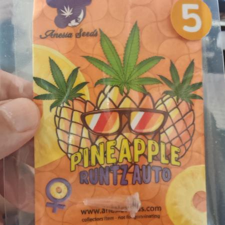 PINEAPPLE RUNTZ AUTO