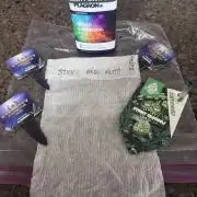 Sticky Broccoli - Zamnesia