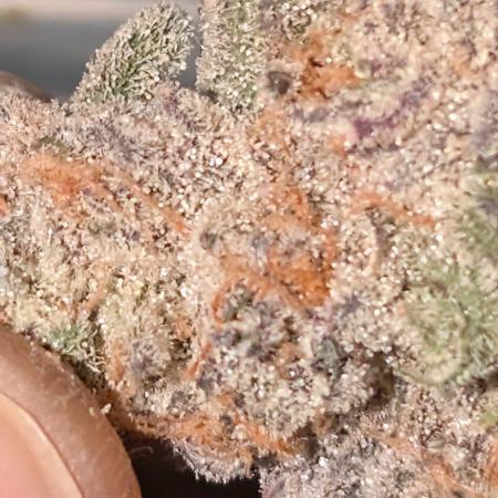 ce Cream Runtz & a little Sour Fraise