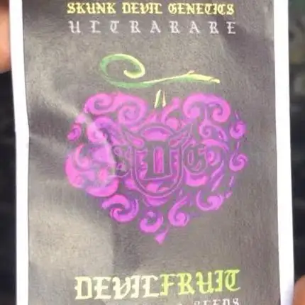 Skunk Devil Genetics Devil Fruit HC