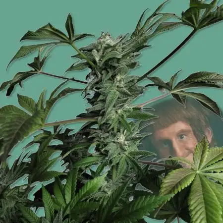 Amsterdam Amnesia #1