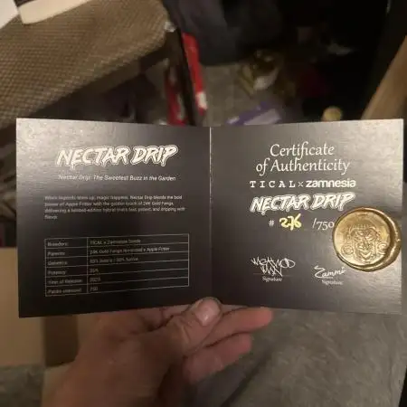 Nectar Drip