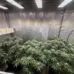 The Rabbit Hole