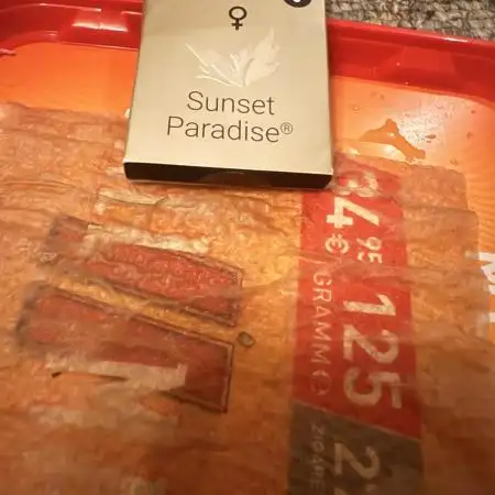 Sunset Paradise