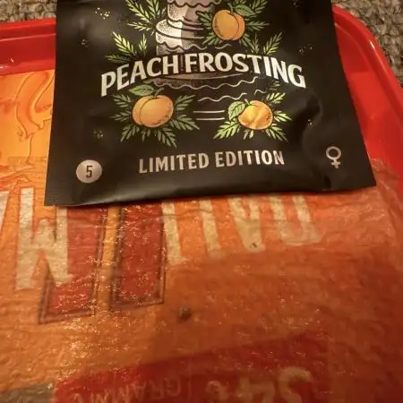 Peach Frosting