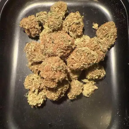 Space Cookies