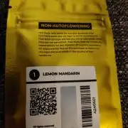 Lemon Mandarin (1st Photo run)