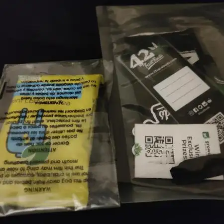 Mexican Airlines Auto by Fast Buds