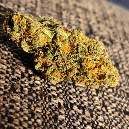 Fast Buds Gorilla S. Auto (Phoenix)