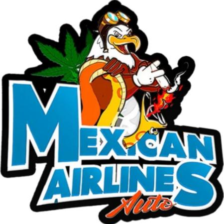 Mexican Airlines Auto (Claudia)