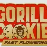 Fast Buds Gorilla Cookies FF (Precious)