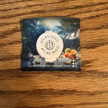 Tropical Cooler | Atlas Seeds