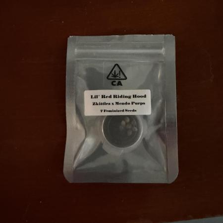 Lil' Red Riding Hood | Humboldt CSI