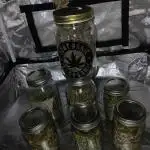 Kyle420greenery  & 42fastbuds